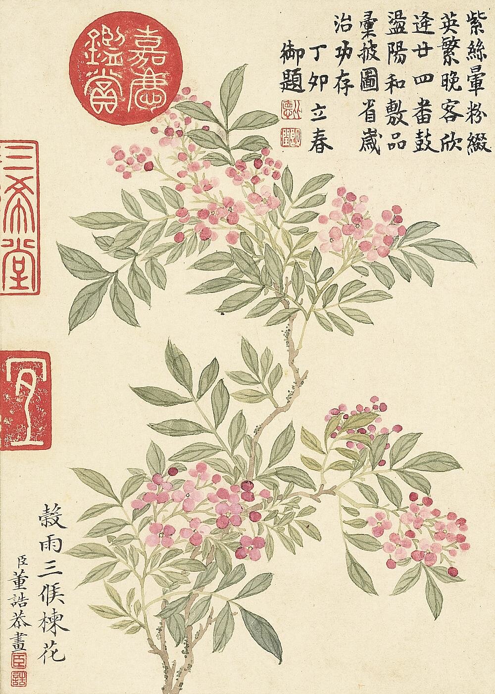 二十四番花信风图册