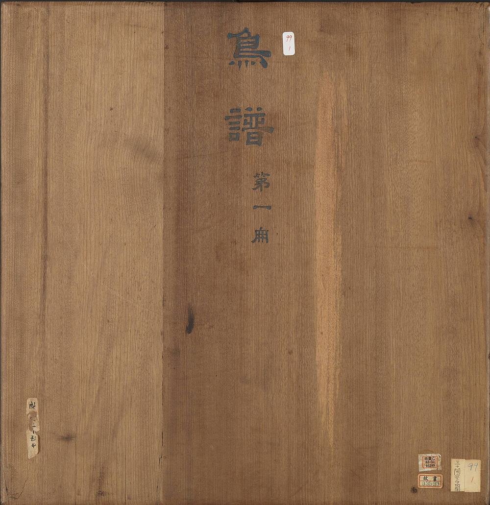 鸟谱