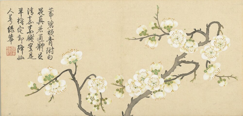 四景花卉图册