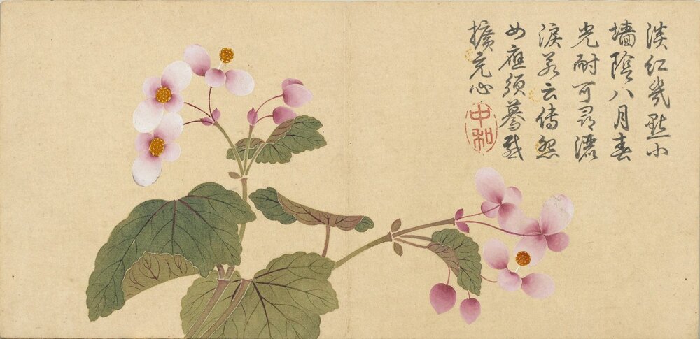 四景花卉图册