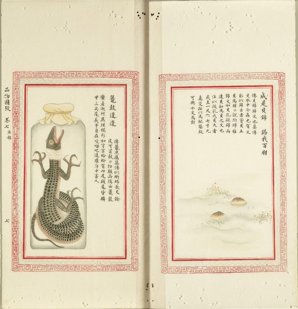 毛诗品物图考
