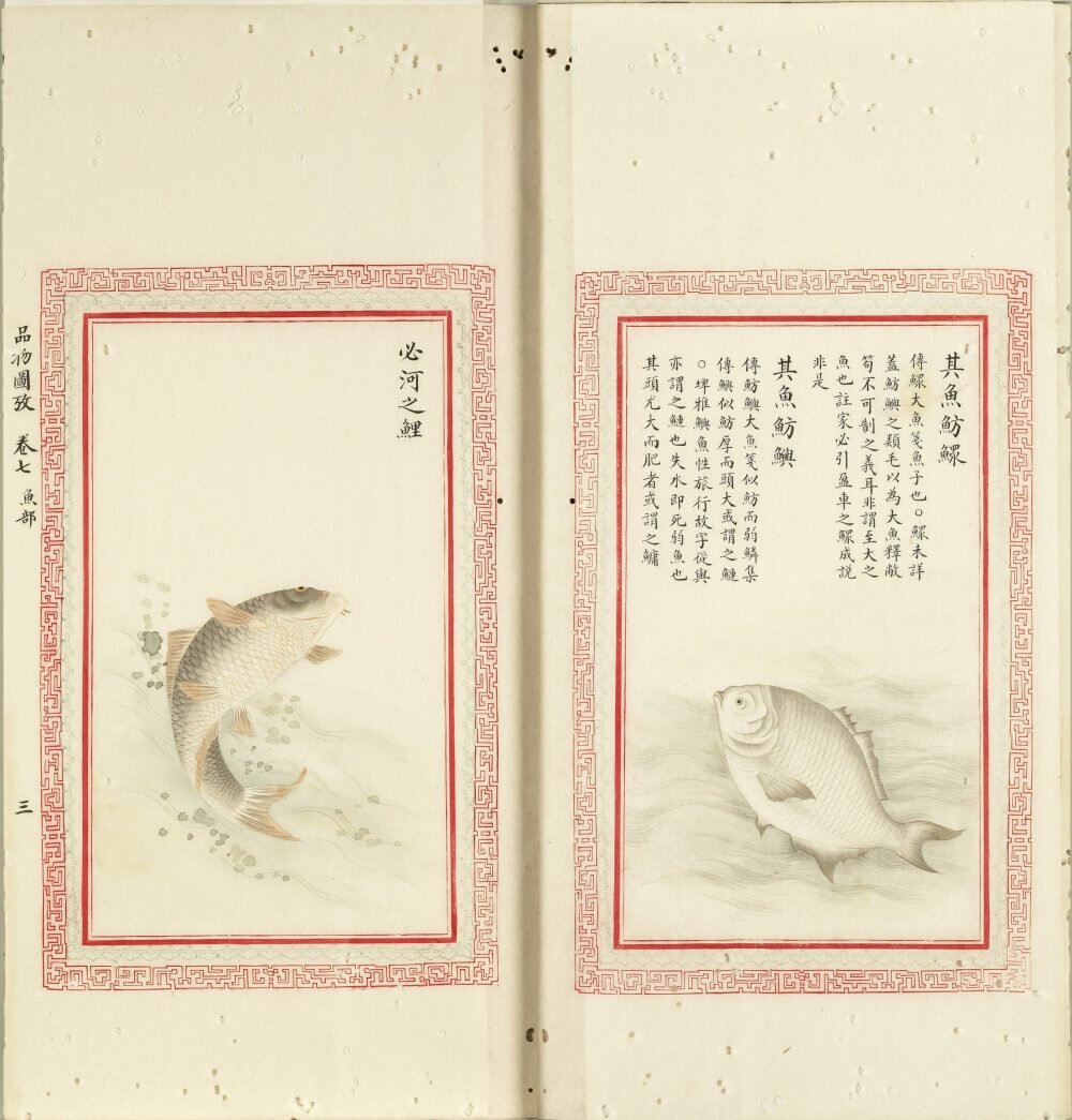 毛诗品物图考