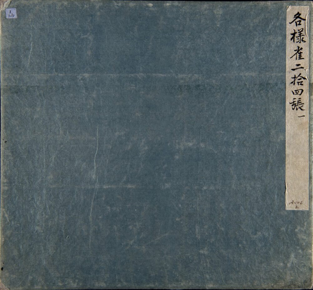 各样花草鱼鸟虫图册