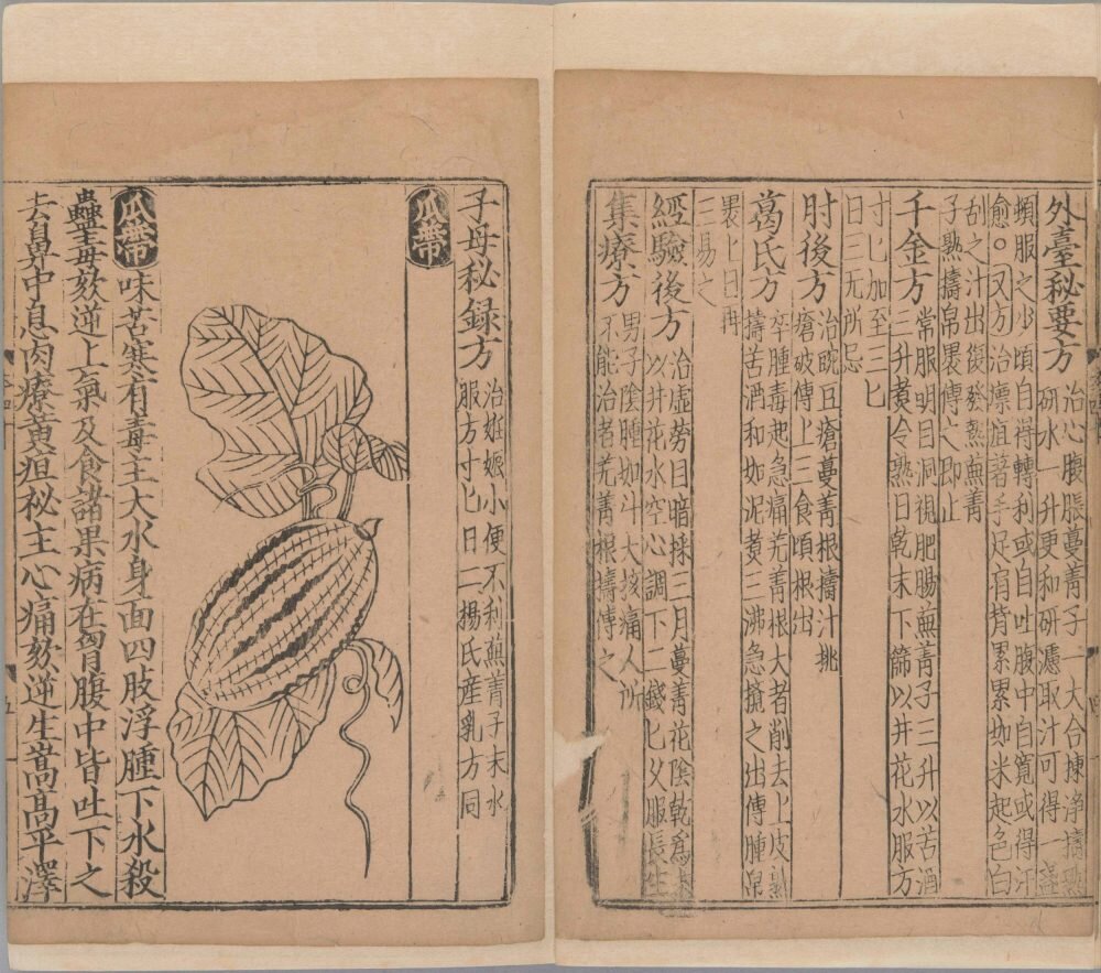新编类要图注本草