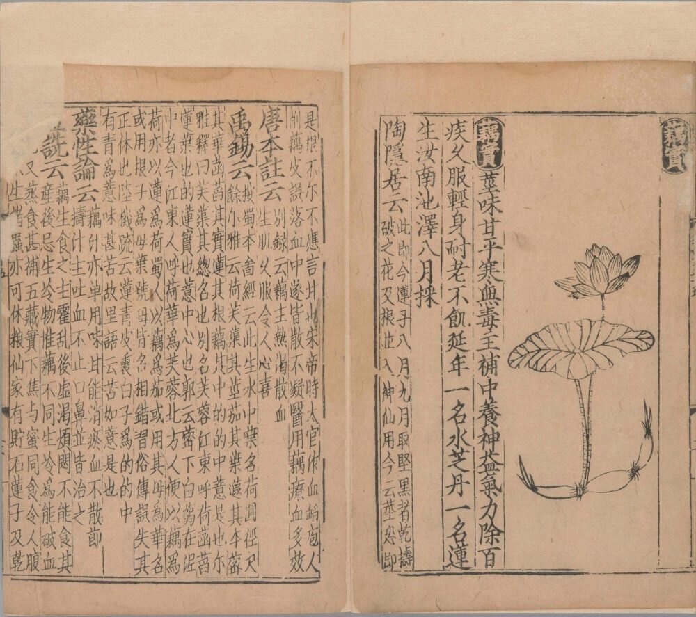 新编类要图注本草