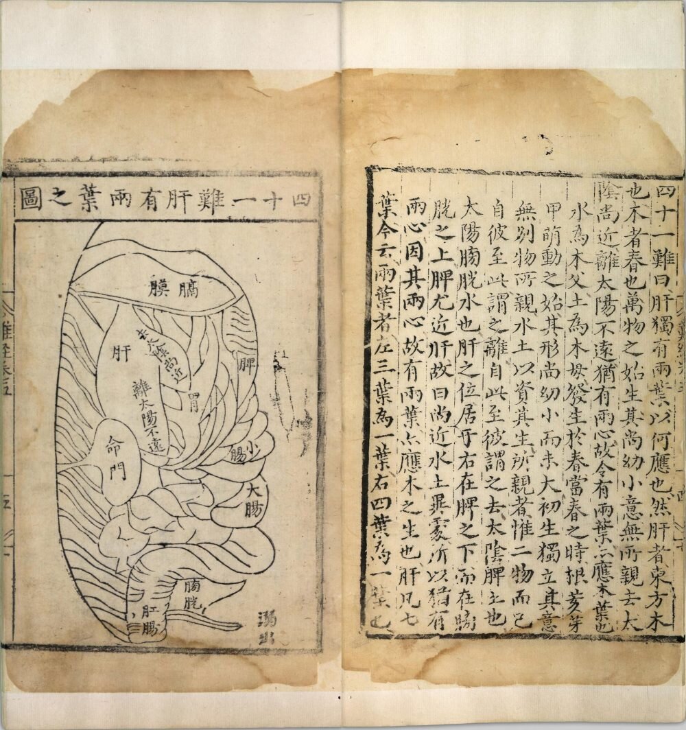 图注八十一难经