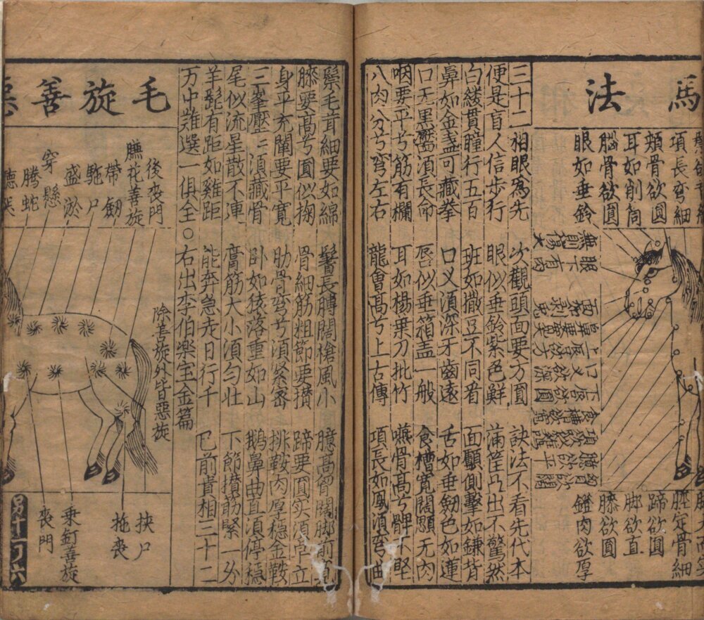 事林广记