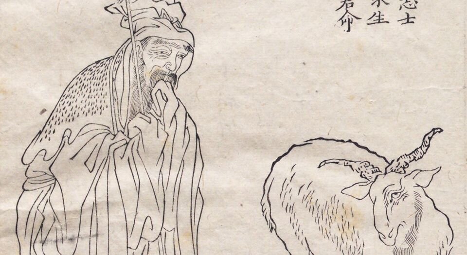 晚笑堂竹庄画传