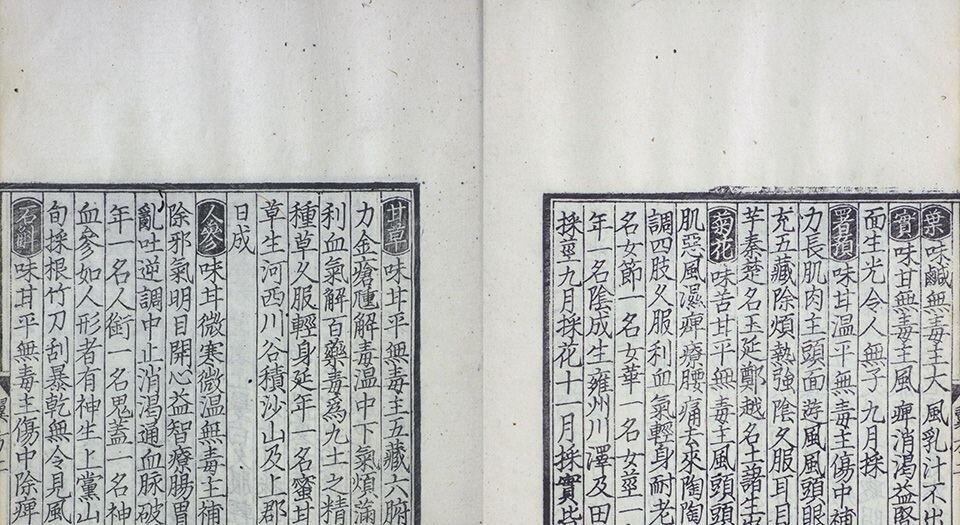 千金翼方