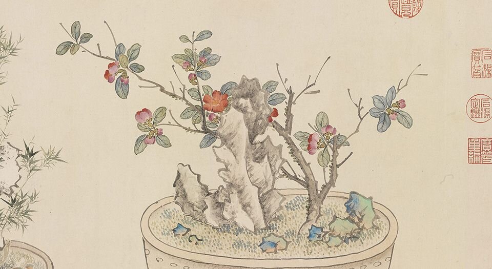 画万年花甲