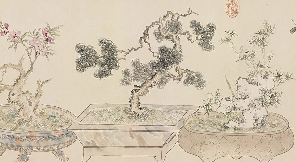 画万年花甲