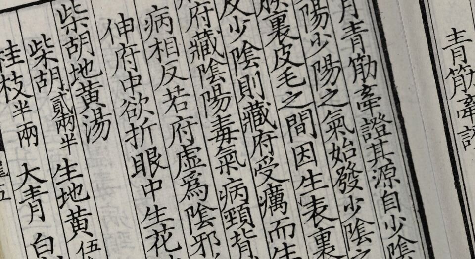 伤寒总病论