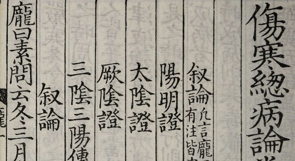 伤寒总病论