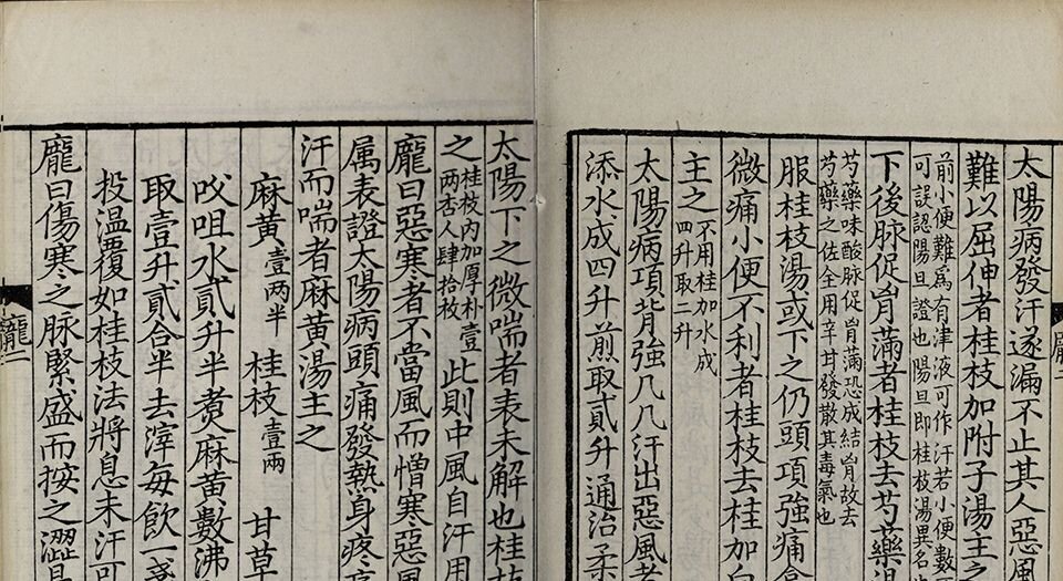 伤寒总病论