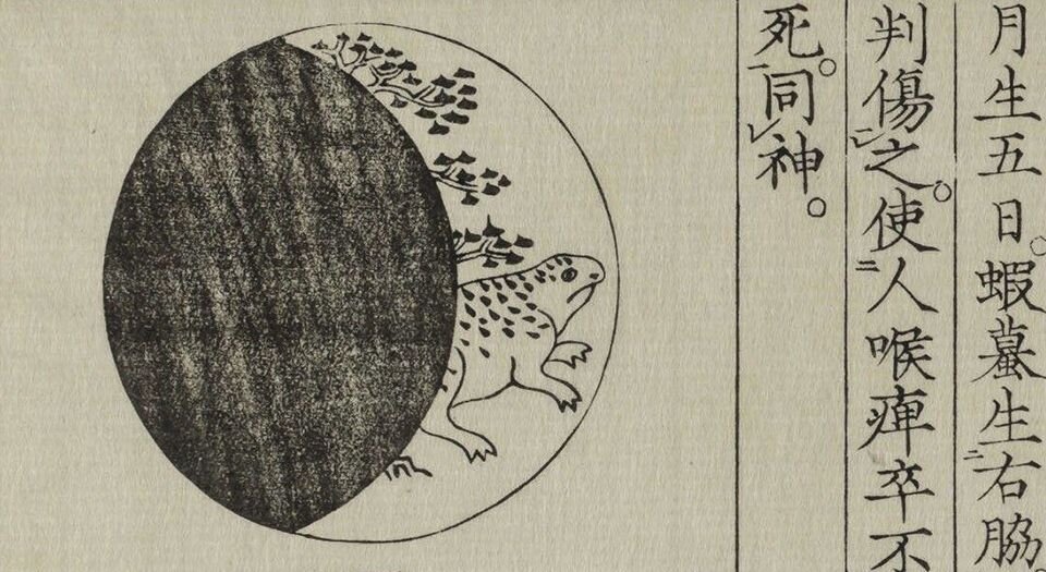 黄帝蝦蟇经