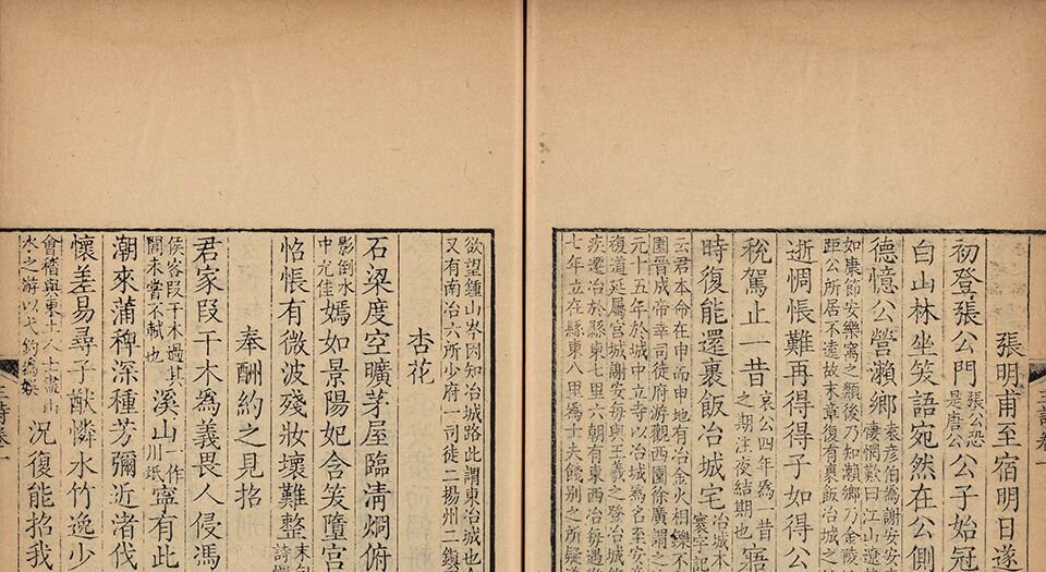 王荆文公诗