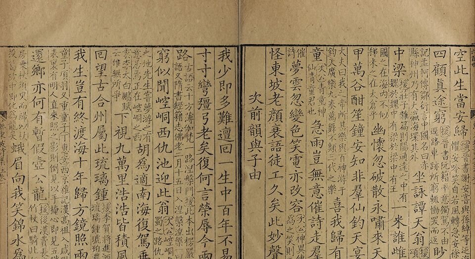 苏东坡诗集注