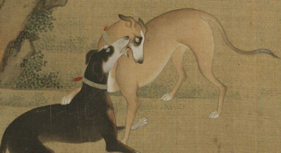 十犬图册