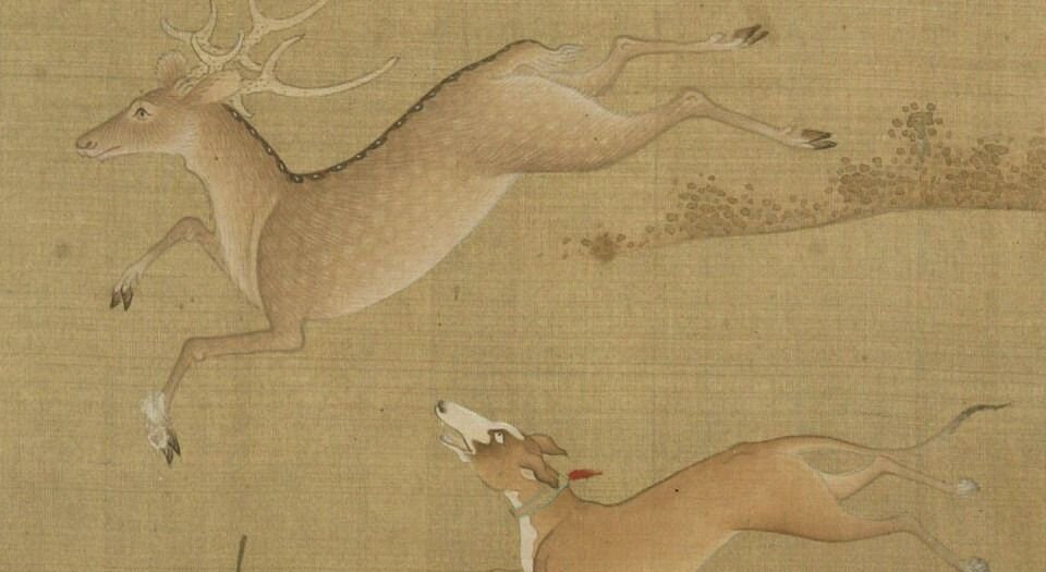 十犬图册