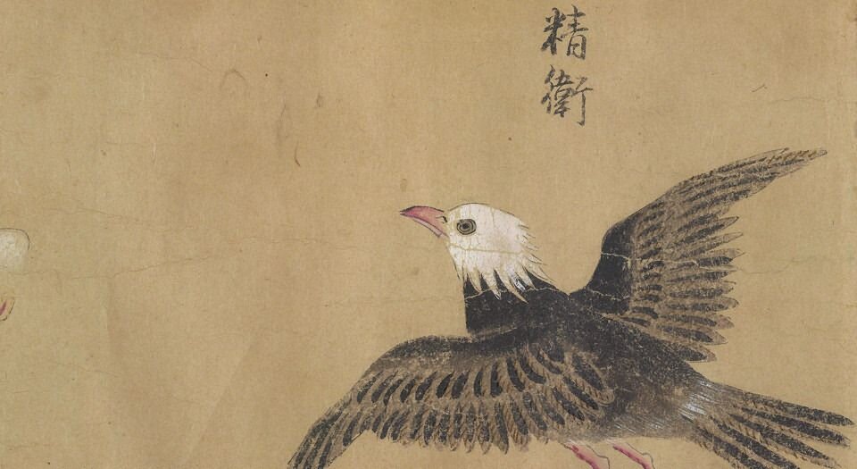 怪奇鸟兽图卷