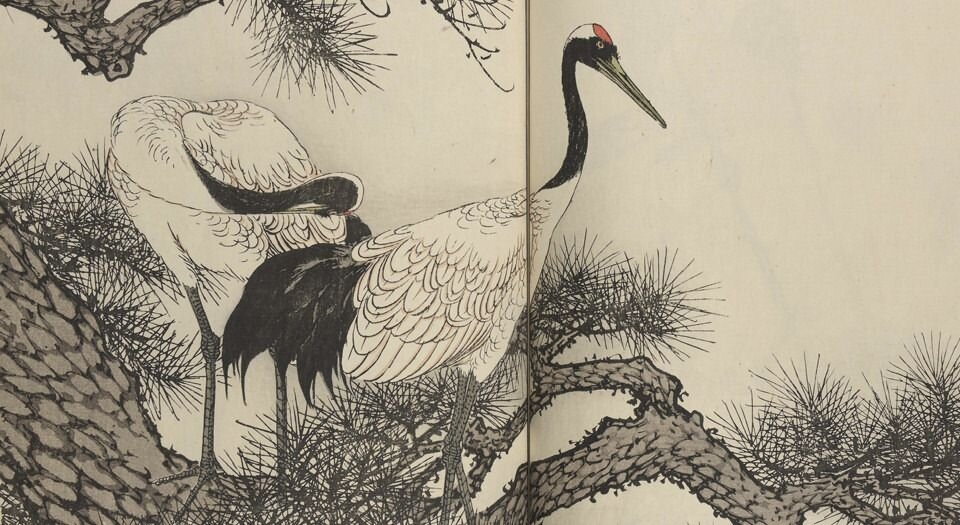 景年花鸟画谱