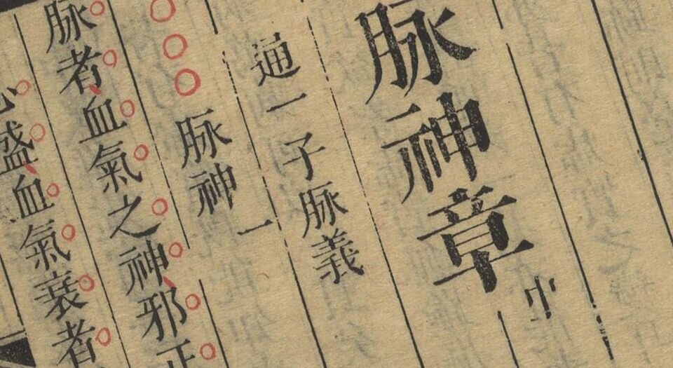 景岳全书