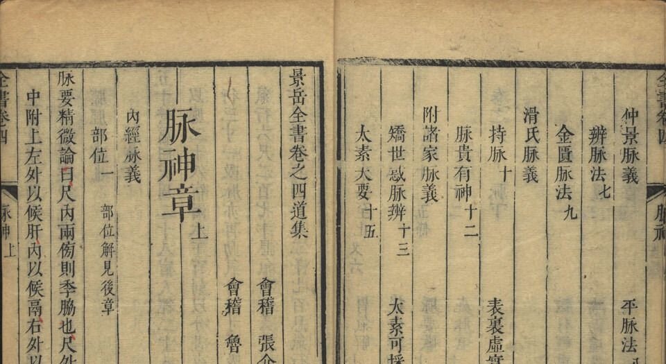 景岳全书