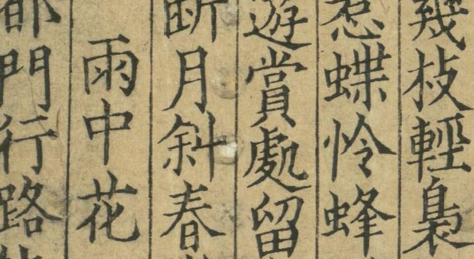 醉翁琴趣外篇