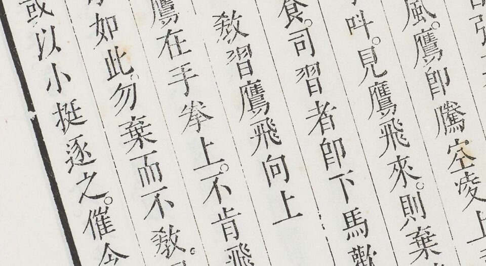 进呈鹰论