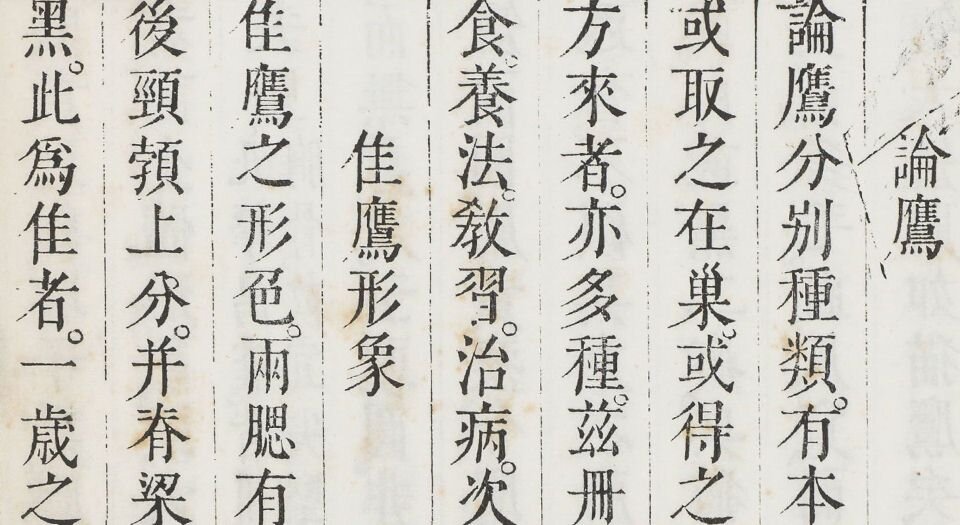 进呈鹰论