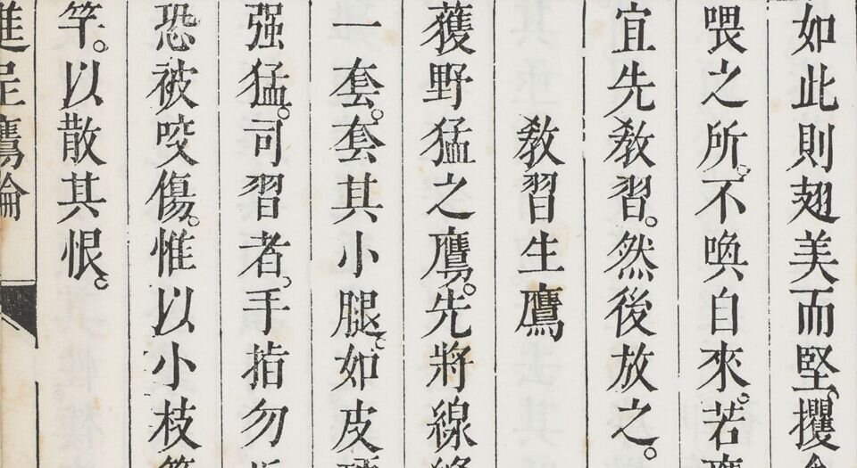 进呈鹰论