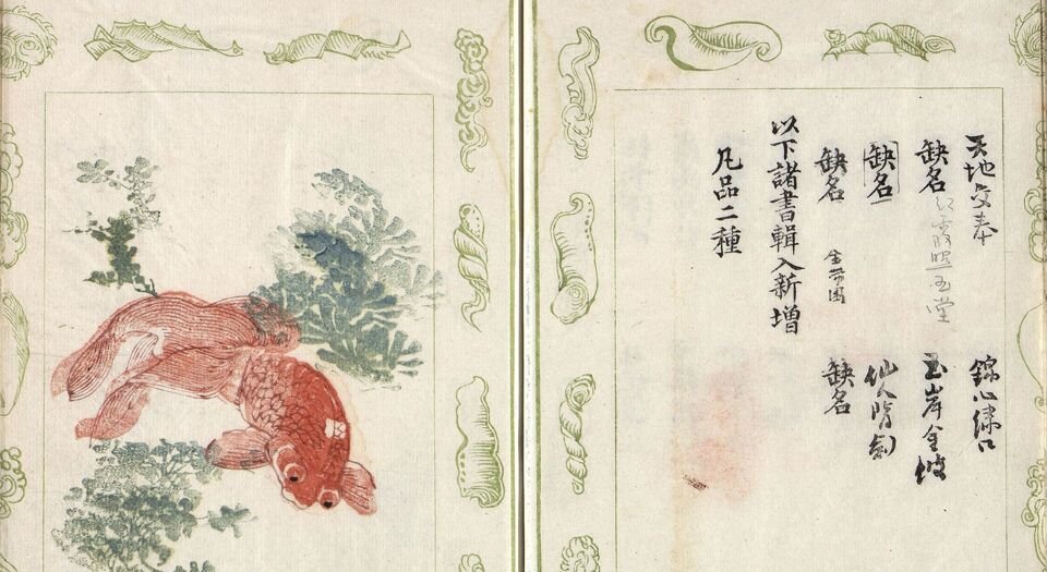 金鱼图谱.清.句曲山农撰.尚兆山绘.道光二十八年刊本