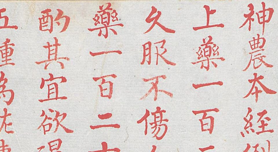 本草品汇精要.共四十二卷.缺卷7.8.18-21.24-33.明.刘文泰等撰.王世昌等绘.明弘治十八年彩绘写本