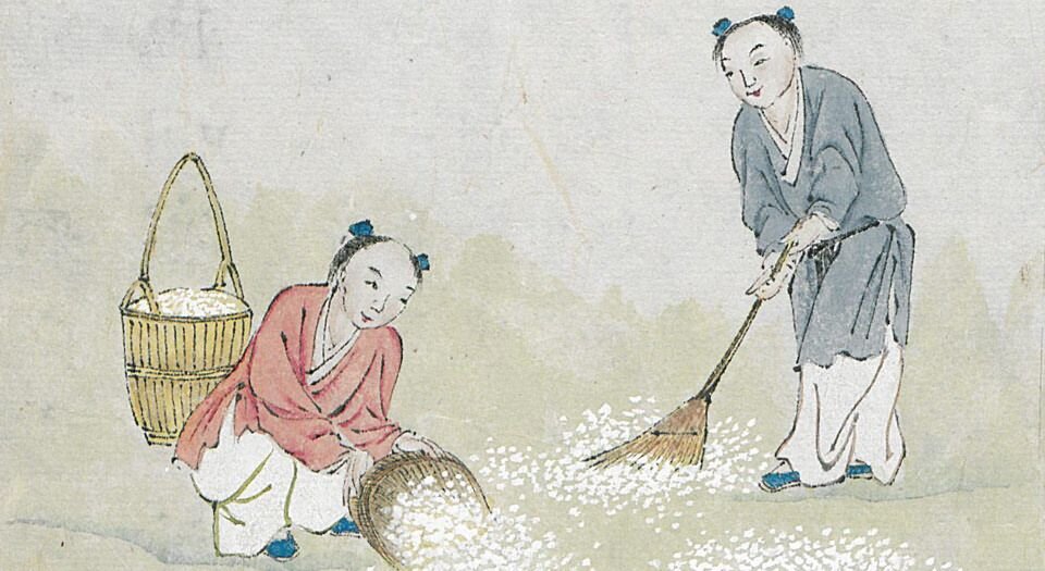本草品汇精要.共四十二卷.缺卷7.8.18-21.24-33.明.刘文泰等撰.王世昌等绘.明弘治十八年彩绘写本