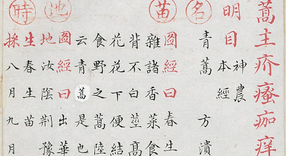本草品汇精要.共四十二卷.缺卷7.8.18-21.24-33.明.刘文泰等撰.王世昌等绘.明弘治十八年彩绘写本