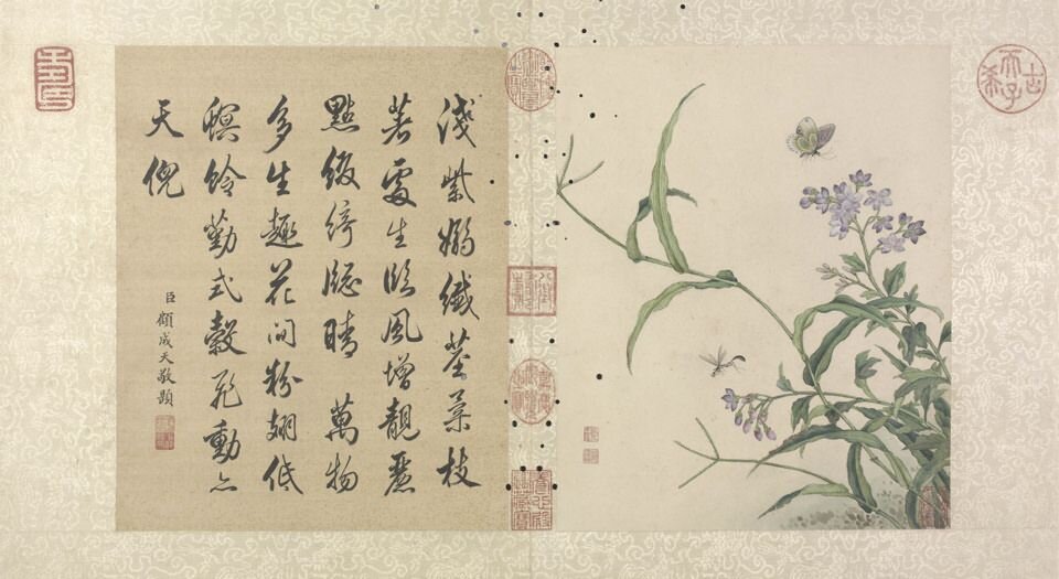 花卉虫草册.二十四帧.清蒋廷锡绘.故宫博物院藏本