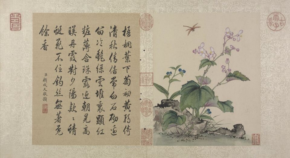 花卉虫草册.二十四帧.清蒋廷锡绘.故宫博物院藏本