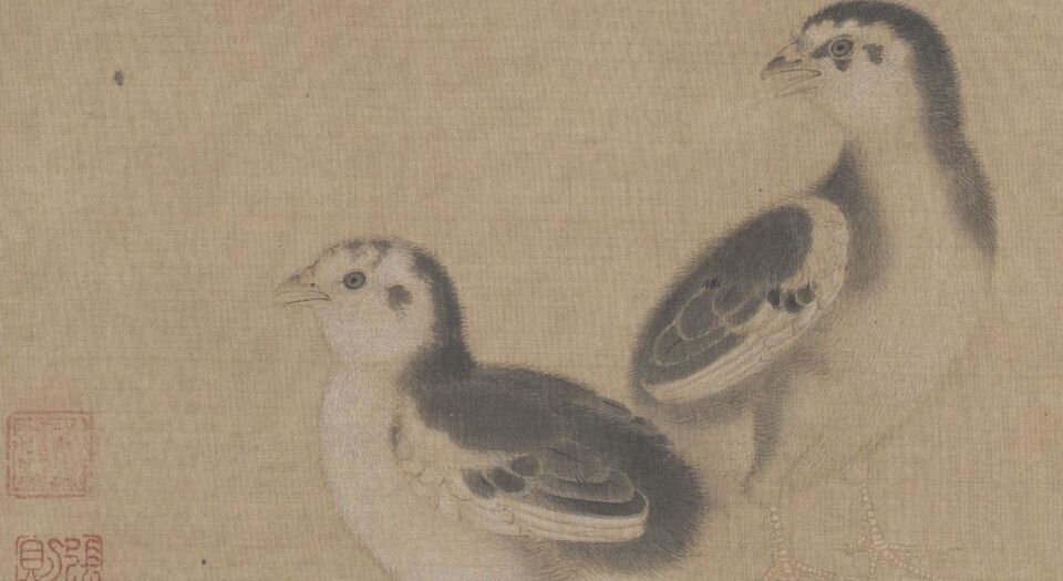 宋名流集藻册.十二帧.水墨设色绢本.故宫博物院藏