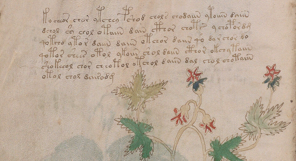 伏尼契手稿.Voynich manuscript.高清.耶鲁大学图书馆藏.约十五世纪