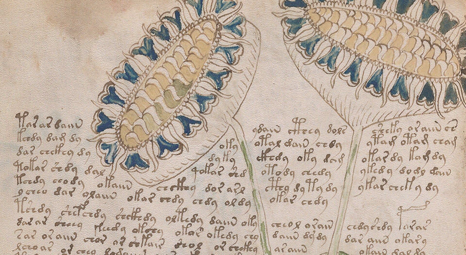 伏尼契手稿.Voynich manuscript.高清.耶鲁大学图书馆藏.约十五世纪