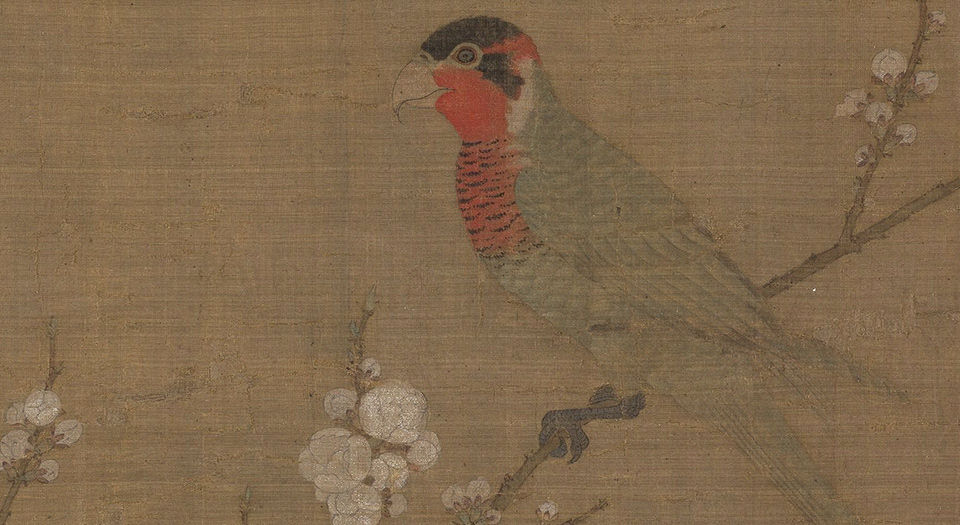 五色鹦鹉图.宋徽宗赵佶绘.26102X3440像素.美国波士顿美术馆藏本