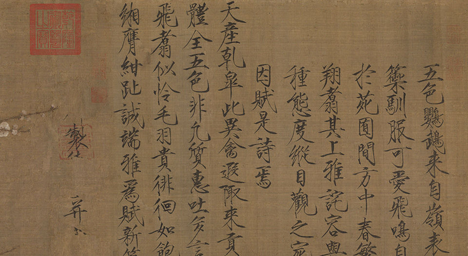 五色鹦鹉图.宋徽宗赵佶绘.26102X3440像素.美国波士顿美术馆藏本