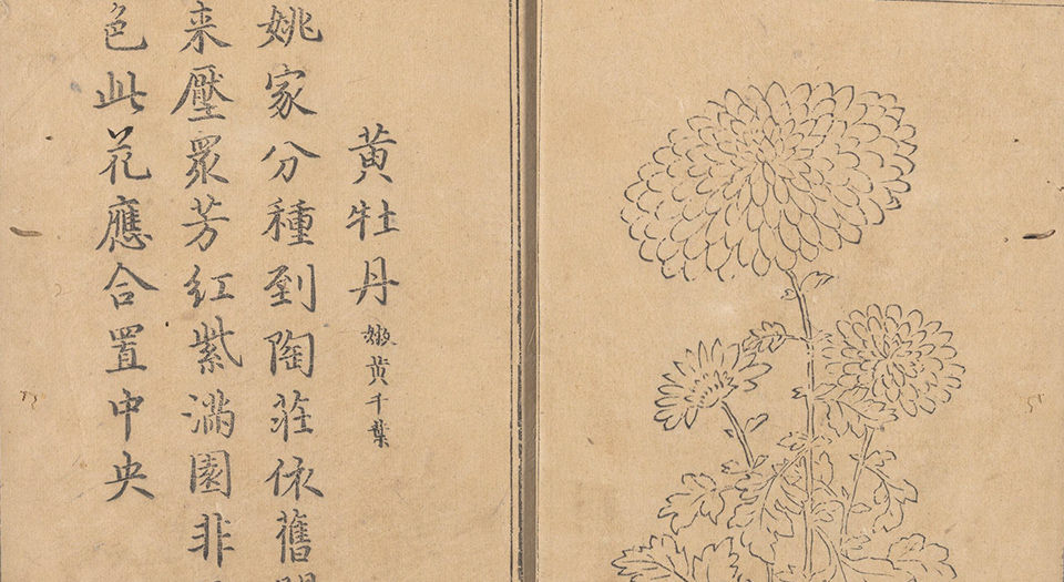 德善斋菊谱诗