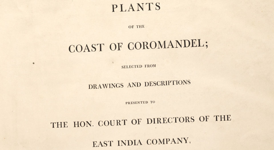 科罗曼德海岸的植物.图谱.Plants of the coast of Coromandel.3卷.By William Roxburgh.英文版.1795年