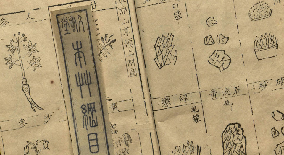 本草纲目
