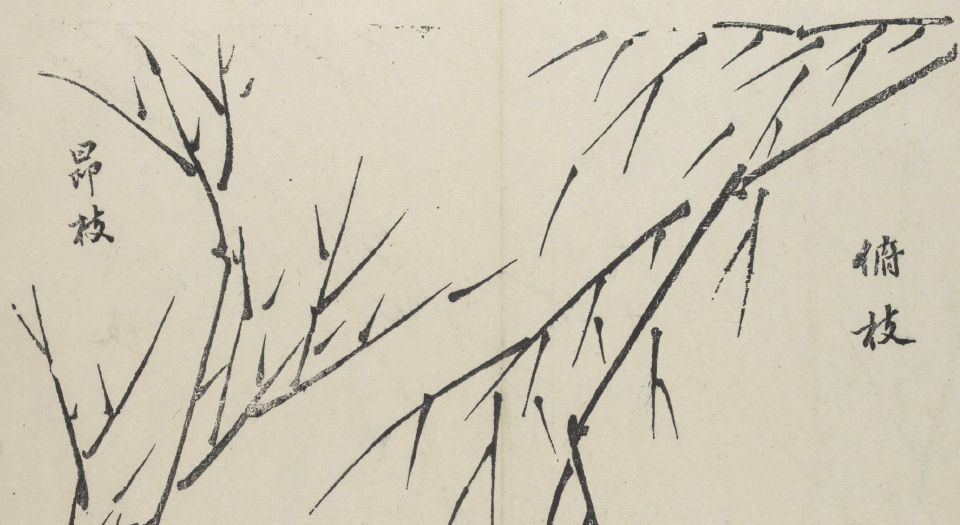天下有山堂画艺.清汪之元编绘.四明樵石山房藏板.清雍正2年序刊本