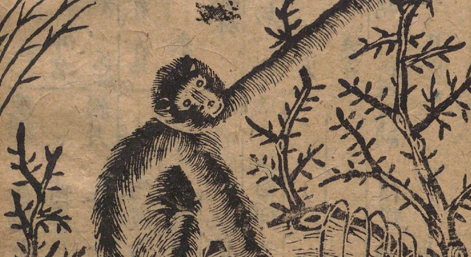 新刊禽遁大全.4卷.附补全.明池本理著.明弘治09年进贤书舍刊本