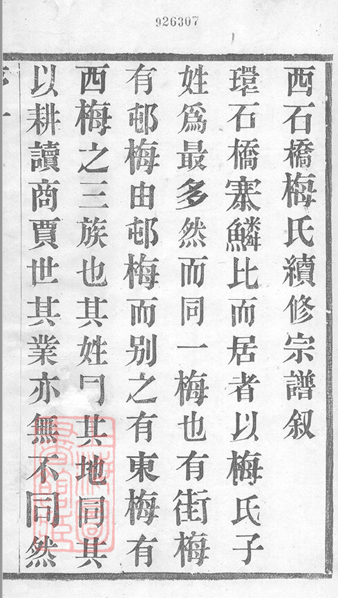 梅氏家谱19本梅氏族谱梅家宗谱家训明清民国古籍