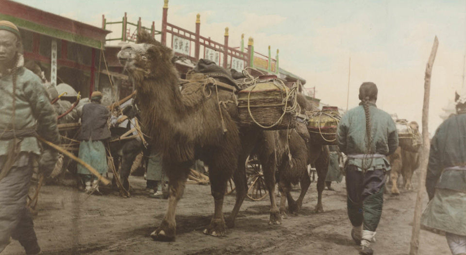 雷尼诺恩的北京影像集.154帧.BY C.E.Lemunyon.约1910年