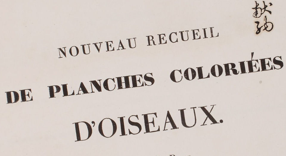 彩绘鸟类版画新集.Nouveau recueil de planches coloriées d’oiseaux.全部插图.By Coenraad Jacob.Temminck.1838年